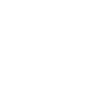 icon form